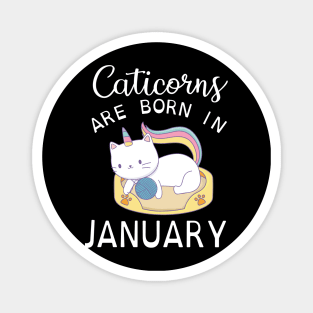 Caticorns Are Born In January Happy Birthday To Me You Magnet